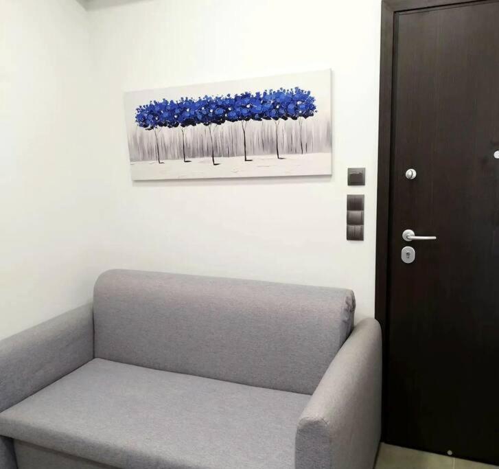 Apartment Farisma - Bright And In